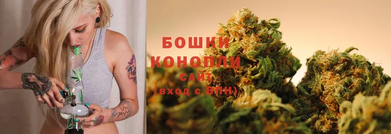 где купить наркоту  Кизляр  Бошки Шишки White Widow 